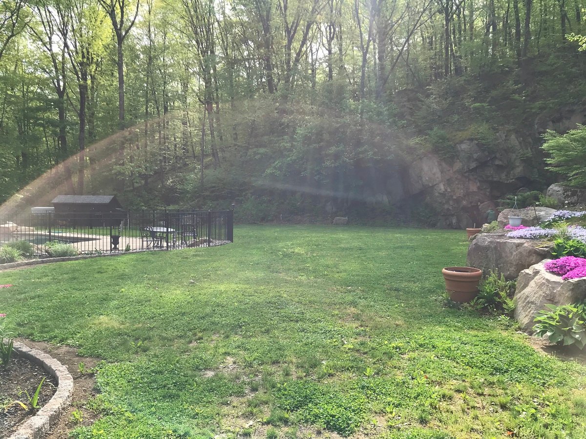 Emmaus Lawn Care Case Study (w/ Before & After Pictures)